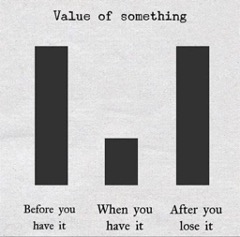 The Value of something