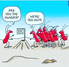 ten ants